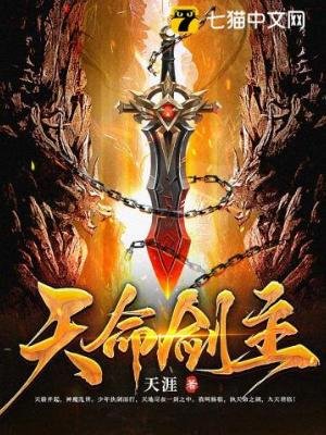 《天命剑主》