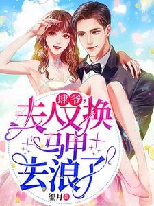 《肆爺,夫人又換馬甲去浪了》