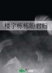 《樓宇棟棟盼君歸》