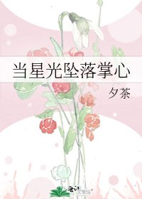 《當星光墜落掌心》