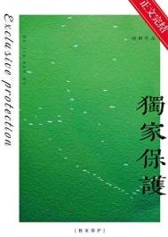 《獨家保護》