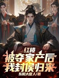 红楼:被夺家产后,我封侯归来