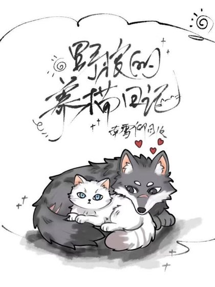 野狼的养猫日记