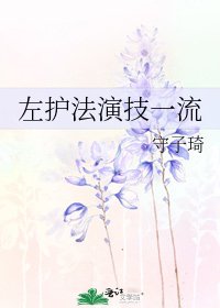 左护法演技一流
