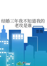 《结婚三年我不知道我的老攻是谁》