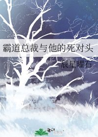《霸道總裁與他的死對頭》
