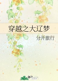 《穿越之大辽梦》