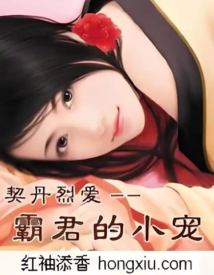 契丹烈爱:霸君的小宠【全本】