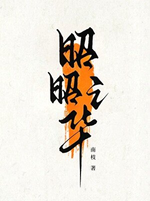 昭昭之華