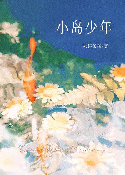 小岛少年