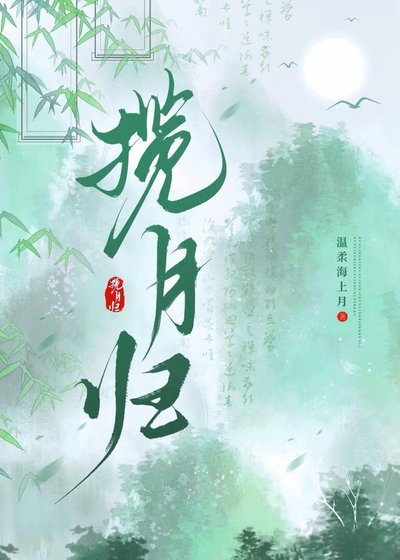 揽月归