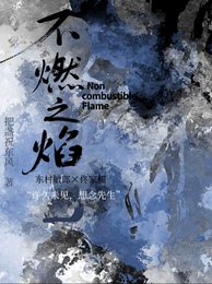 （綜影視同人）不燃之焰