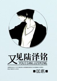 《又见陆泽铭》