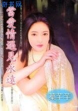 《当爱情遇见永远/永恒毋忘我(恋爱五部曲之四)》