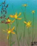 花间晚照