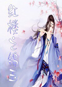 (红楼同人/BL)红楼之锦玉