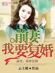 《前妻有點毒/天價前妻/半生緣/前妻我要復婚》